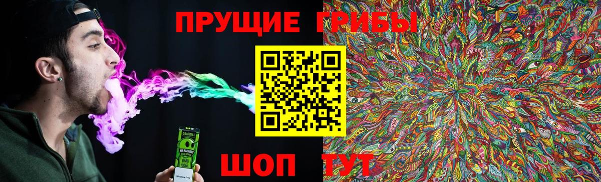 Чебаркуль  Галлюциногенные грибы Psilocybine cubensis  Вход с VPN  Псилоцибиновые грибы Psilocybine cubensis 